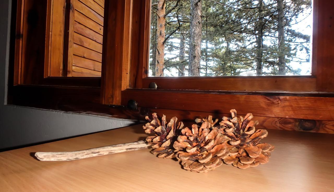 Rustic Home Tara Kaludjerske Bare Exterior foto